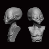 ION-Ax-001 1/35 ION Grey Alien Bust- 50mm  MMD Squadron