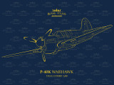 EDUR0024 1/48 Eduard P-40K Warhawk Royal Class Dual Combo Plastic Model Kit R0024 MMD Squadron