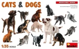 MIN38110 1/35 Miniart Cats & Dogs Plastic Model Kit - PREORDER  MMD Squadron