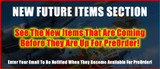 New Future Items Section