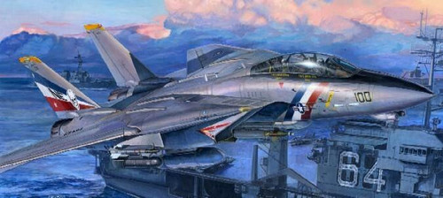 TRP3203 1/32 Trumpeter F14D Super Tomcat Fighter MMD Squadron