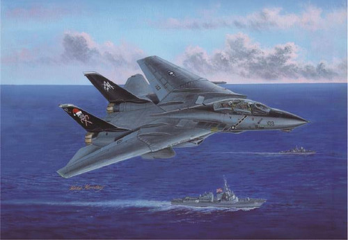 1/72 Hasegawa F-14B Tomcat VF-103 Jolly Rogers Christmas Special