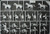 ITL556009 1/72 XI Century: Crusaders (34)  MMD Squadron