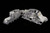 MIN35217 1/35 Miniart WWII M3 Grant Mk 1 Tank w/Full Interior  MMD Squadron MIN35217 1/35 Miniart WWII M3 Grant Mk 1 Tank w/Full Interior  MMD Squadron
