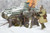 DML6744 1/35 Dragon Soviet Infantry Winter 1941 MMD Squadron