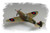 HBB80212 HobbyBoss 1/72 Spitfire Mk.Vb Easy Assembly - HY80212  MMD Squadron
