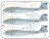 FLN-48007 1/48 Flying Leathernecks EA-6B Jammin Jarheads VMAQ-1/2/3/4 Decals MMD Squadron