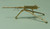 MW-A7217 1/72 Mini World Browning, M2 Cal .50 Heavy Barrel, Flexible Mount Tripod MMD Squadron