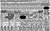PON37025FN 1/350 Pontos Model IJN Musashi 1944 Detail up set Advanced Hinoki Tone Deck  MMD Squadron