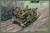 IBG72025 1/72 IBG Universal Carrier I Mk.Ii Mortar Carrier  MMD Squadron