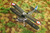 CMK-100-FR0049 1/72 CMK Spad 510 7eme Escadre  100-FR0049 MMD Squadron
