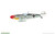 EDU70159 1/72 Eduard Bf 109G-6 EDUARD-PROFIPACK - PREORDER  MMD Squadron