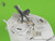 MAS-GM-35-063 1/35 Master Model Browning M2HB .50 cal (12,7mm) - machine gun on tank mount - WWII version (early M23 cradle with early tray)  MMD Squadron