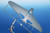 CMK-100-SH32067 1/32 Special Hobby Yakovlev Yak-3 Normandie Niemen Hi-Tech Model Kit  MMD Squadron