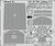 EDU491494 1/48 Eduard Junkers F.13 Photo Etch for MINIART  MMD Squadron