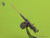 MAS-GM-35-069 1/35 Master Model Browning M2HB .50 cal (12,7mm) - on tank mount - early WWII version (D69820 cradle with small 50 round ammo can D68375)  MMD Squadron