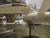 PGX130 Paragrafix 1/1000 USS Enterprise Refit Photo-Etch Set for PLL  MMD Squadron