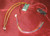 TENA-CARL-BB Tena Controls Standard Car Lighting system for 1/25 Model Cars  MMD Squadron