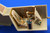 EDU32219 1/32 Eduard Bf109E for EDU  MMD Squadron