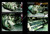 KGP0004 Kagero Publishing Jagdpanzer IV L/48  MMD Squadron