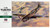 HSG09086 1/48 Hasegawa P-40E Warhawk  MMD Squadron