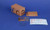 CMK-129-MV137 1/72 CMK M29C Weasel Amphibious Version  129-MV137 MMD Squadron CMK-129-MV137 1/72 CMK M29C Weasel Amphibious Version  129-MV137 MMD Squadron