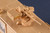 ILK63524 1/35 iLoveKit DINGO 2 GE A3.3 PatSi - PREORDER 63524 MMD Squadron ILK63524 1/35 iLoveKit DINGO 2 GE A3.3 PatSi - PREORDER 63524 MMD Squadron