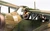 AIRA07116 1/48 Airfix Westland Lysander Mk I Mk III  MMD Squadron