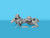 ICM35724 1/35 ICM Tankabwehr 1918 German Anti-Tank Figure Set - PREORDER  MMD Squadron