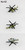 PITS83 1/700 Pitroad  Russian Aircraft Set 2  MMD Squadron