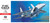 HSG00336 1/72 Hasegawa F-15C EAGLE  MMD Squadron