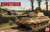 DRM6848 1/35 DRAMi Sd.Kfz.182 Kingtiger - PREORDER DM6848 MMD Squadron