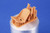  CMK-129-P32006   1/32 CMK Fw190A Seat and Side Section Back Armour (w/o harness) for Revell kits   MMD Squadron