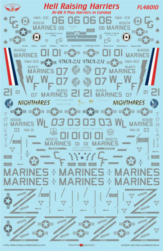1/48 Flying Leathernecks AV-8B II Plus Hell Raising Harriers