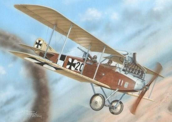 De Gregorio カホン Albatros Medium Amazon.co.jp: De Gregorio Cajon 16.9 x 11.6 x 11.4 inches