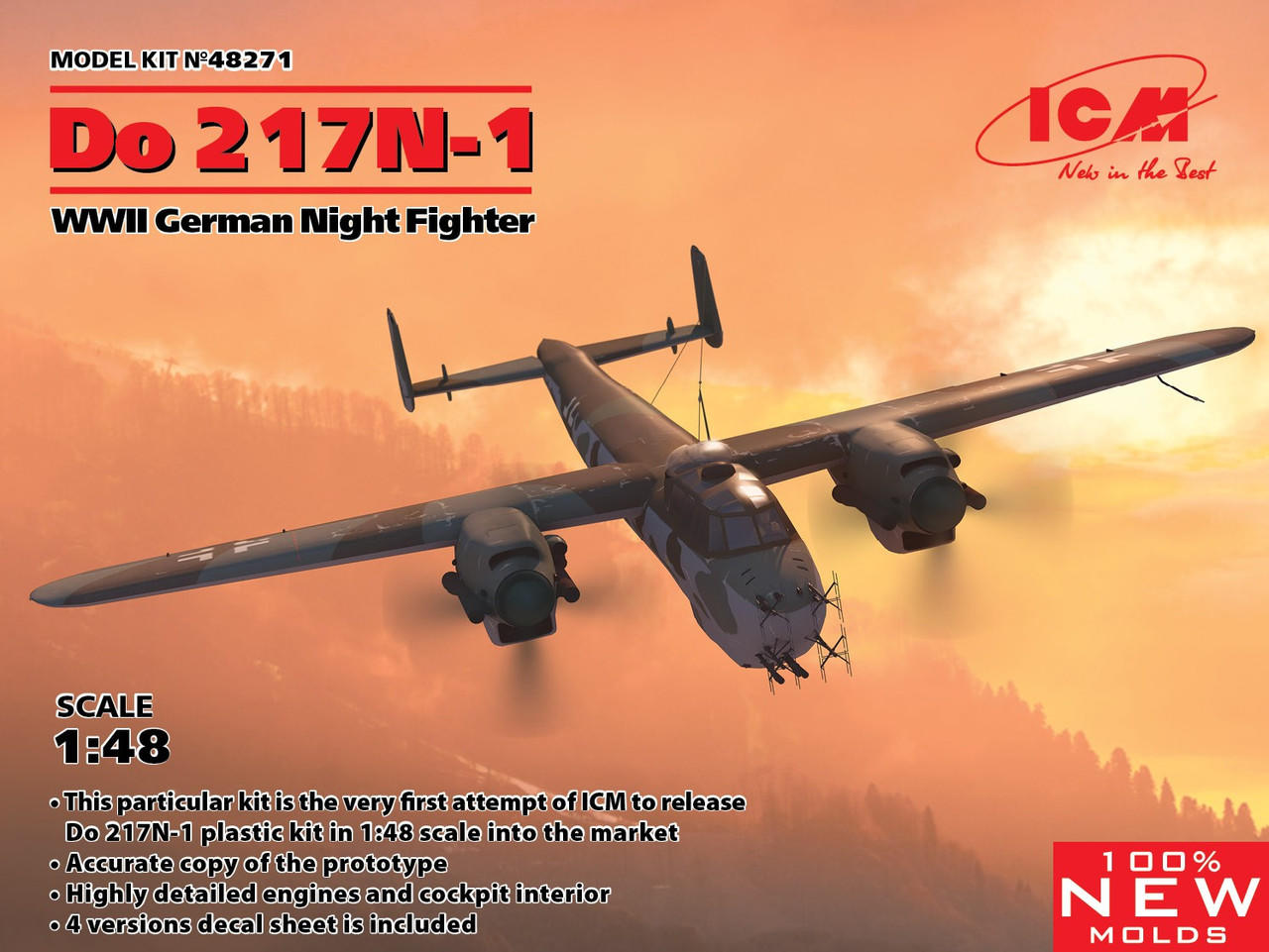 1/48 ICM Do 217N-1, WWII German Night Fighter - Squadron.com