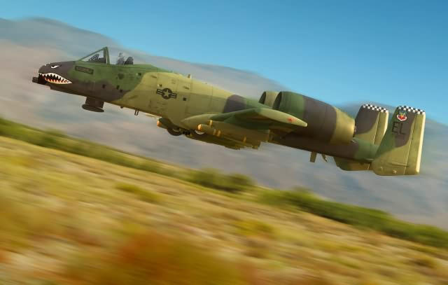 1/48 Hobby Boss A-10A Thunderbolt II - Squadron.com