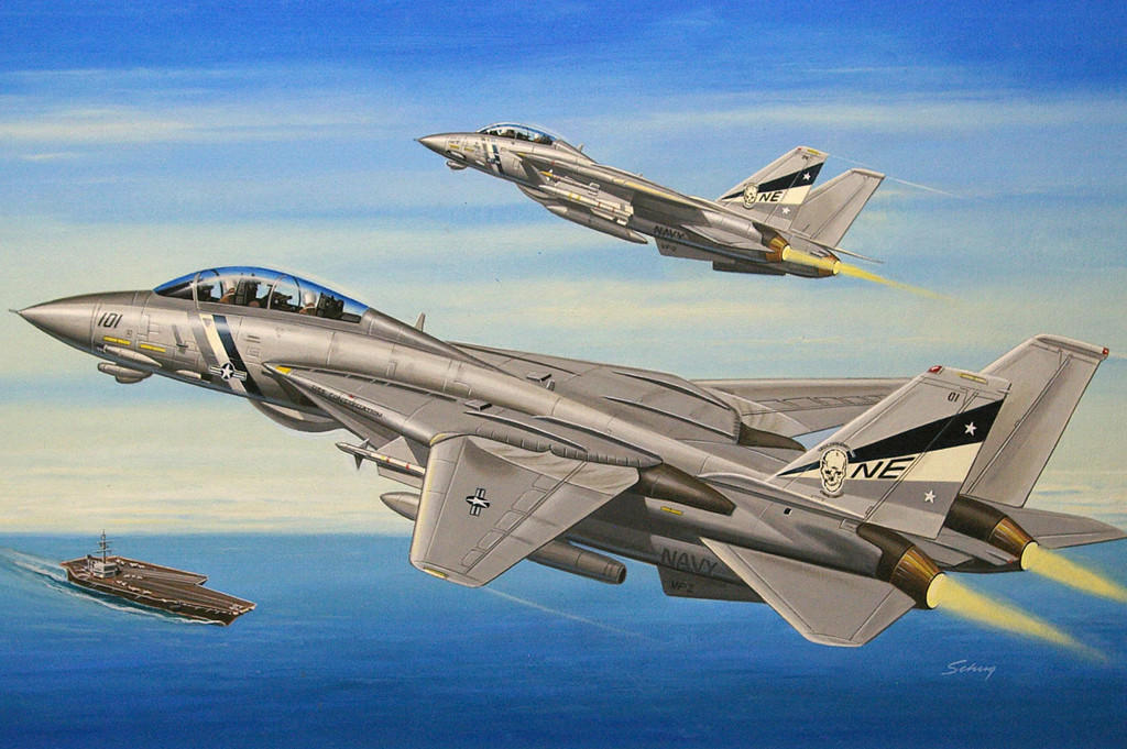 1/72 Hobby Boss F-14D Super Tomcat - Squadron.com