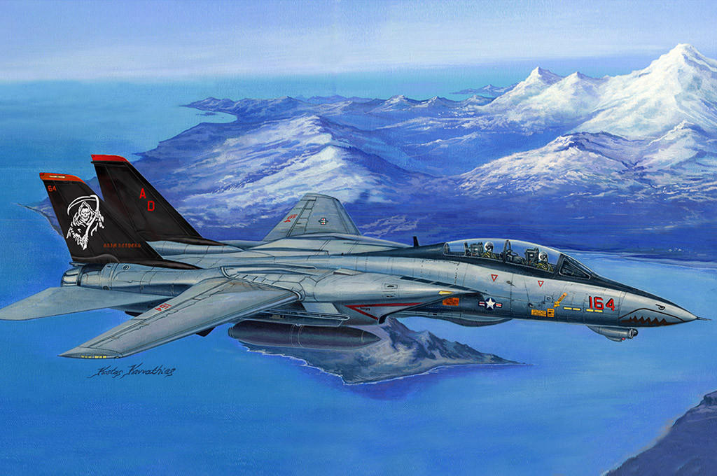 F-14D SUPER TOMCAT 1/48 未組立キット 1/48 Hobby Boss F-14D Super Tomcat - Squadron.com