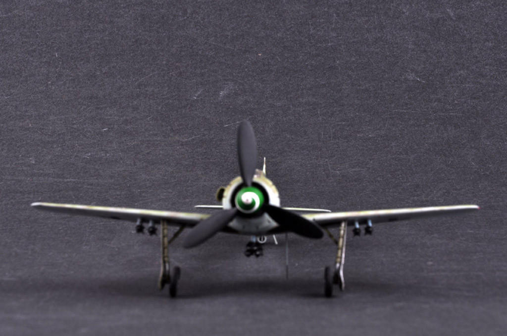 1/48 Hobby Boss Focke-Wulf Fw 190D-13 - HY81721 - Squadron.com