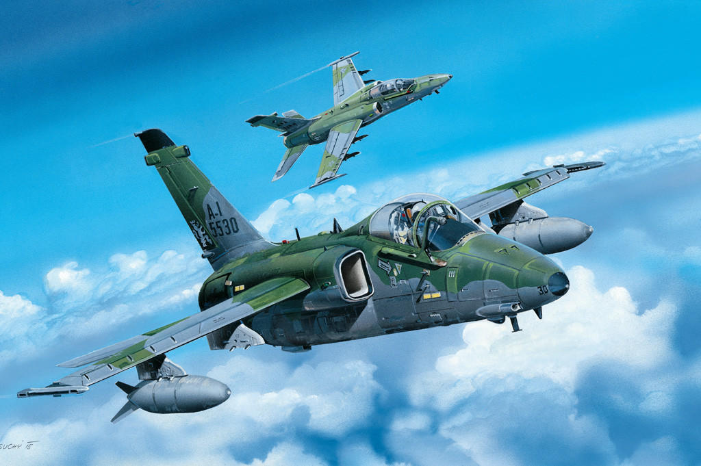 1/48 Hobby Boss A-1A Ground Attack Aircraft - HY81742 - Squadron.com