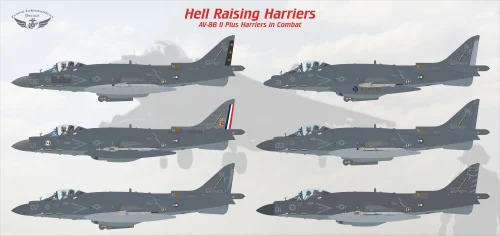 1/48 Flying Leathernecks AV-8B II Plus Hell Raising Harriers