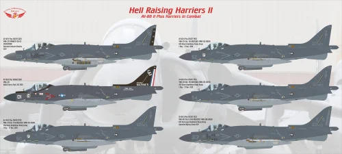 1/48 Flying Leathernecks AV-8B II Plus Hell Raising Harriers II 1/48 Flying Leathernecks AV-8B II Plus Hell Raising Harriers II
