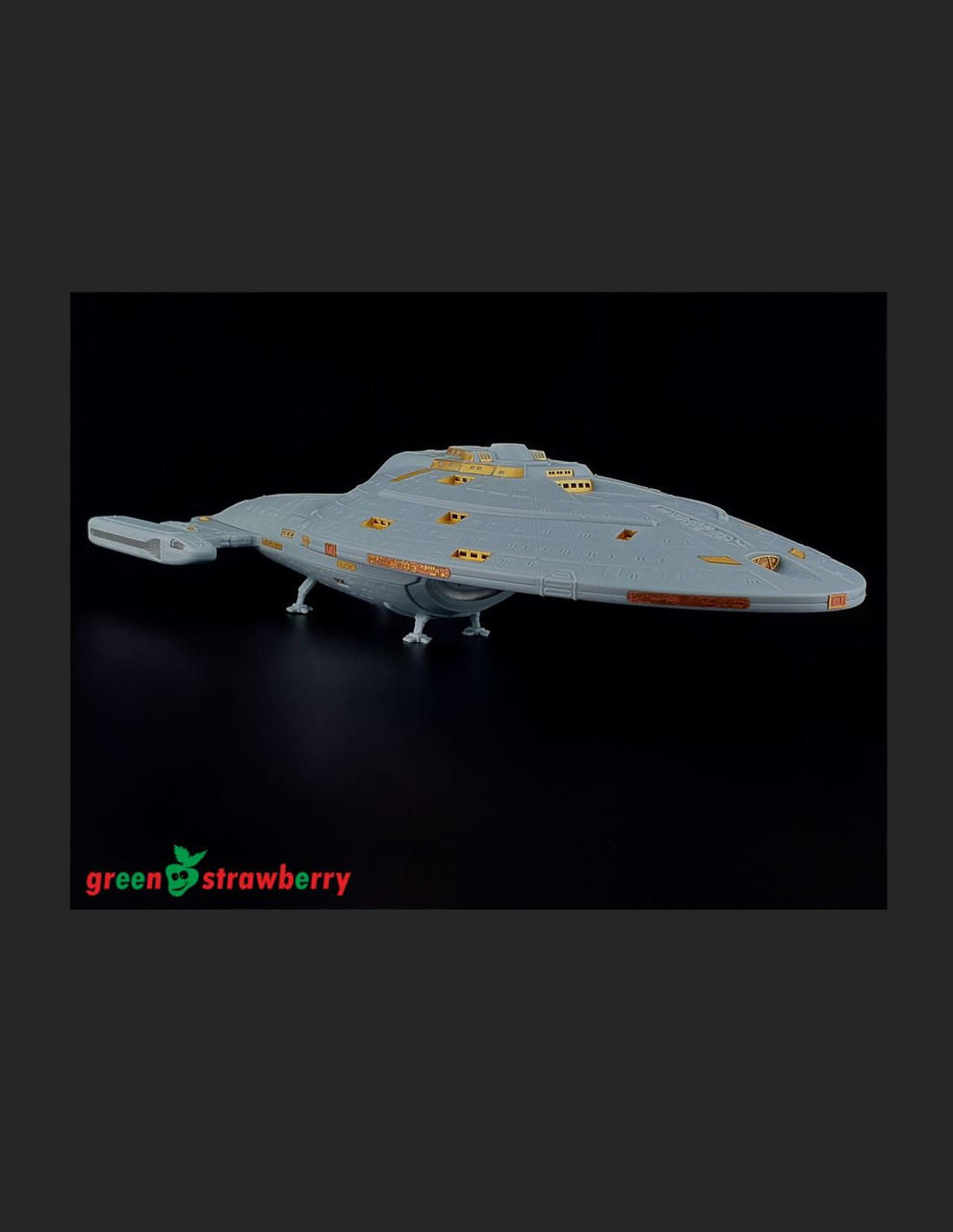 1/1000 Green Strawberry USS Voyager NCC-74656 Upgrade Set