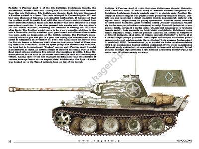 Kagero Captured Panzer German Vehicles in Allied Service Book