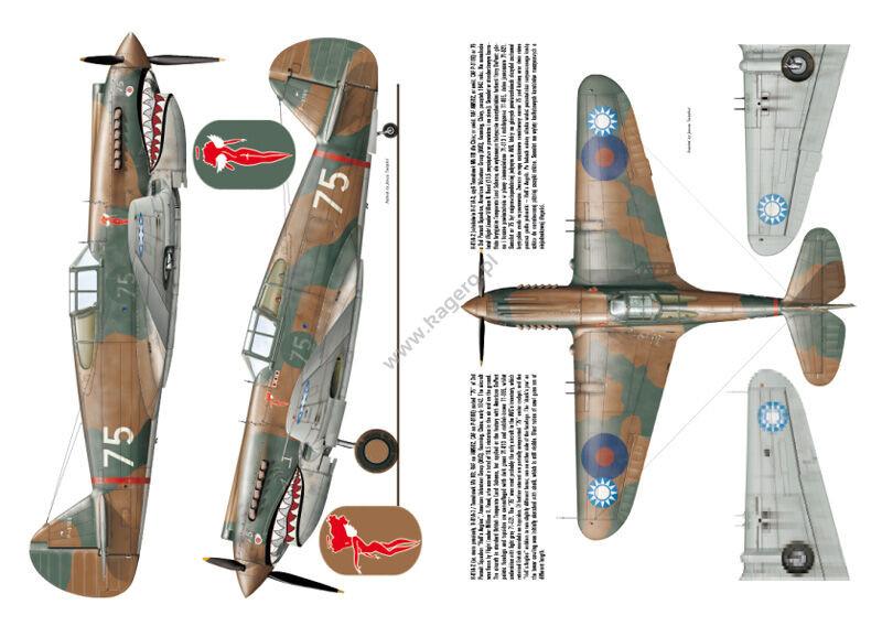 Kagero Publishing Curtiss P-40 vol. I - Squadron.com