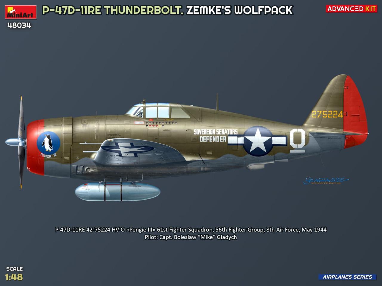 HMホビーマスターP-47 Thunderbolt Razorback 1:48 P-47D Thunderbolt 1:48 Diecast Model - Hobby Master HM