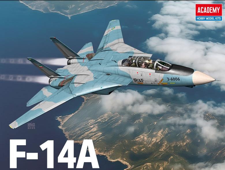 1/72 Academy F-14A IRIAF Plastic Model Kit - Squadron.com