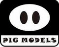 PIG Models