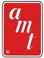 AMT Model Kits